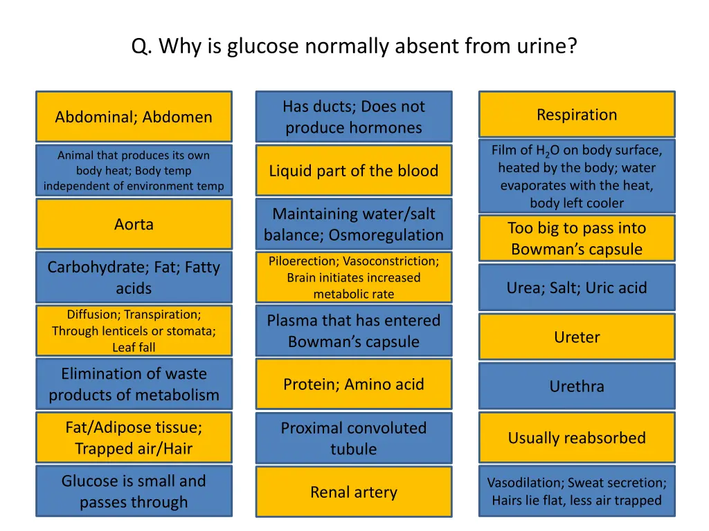 q why is glucose normally absent from urine