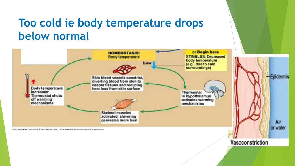 too cold ie body temperature drops below normal