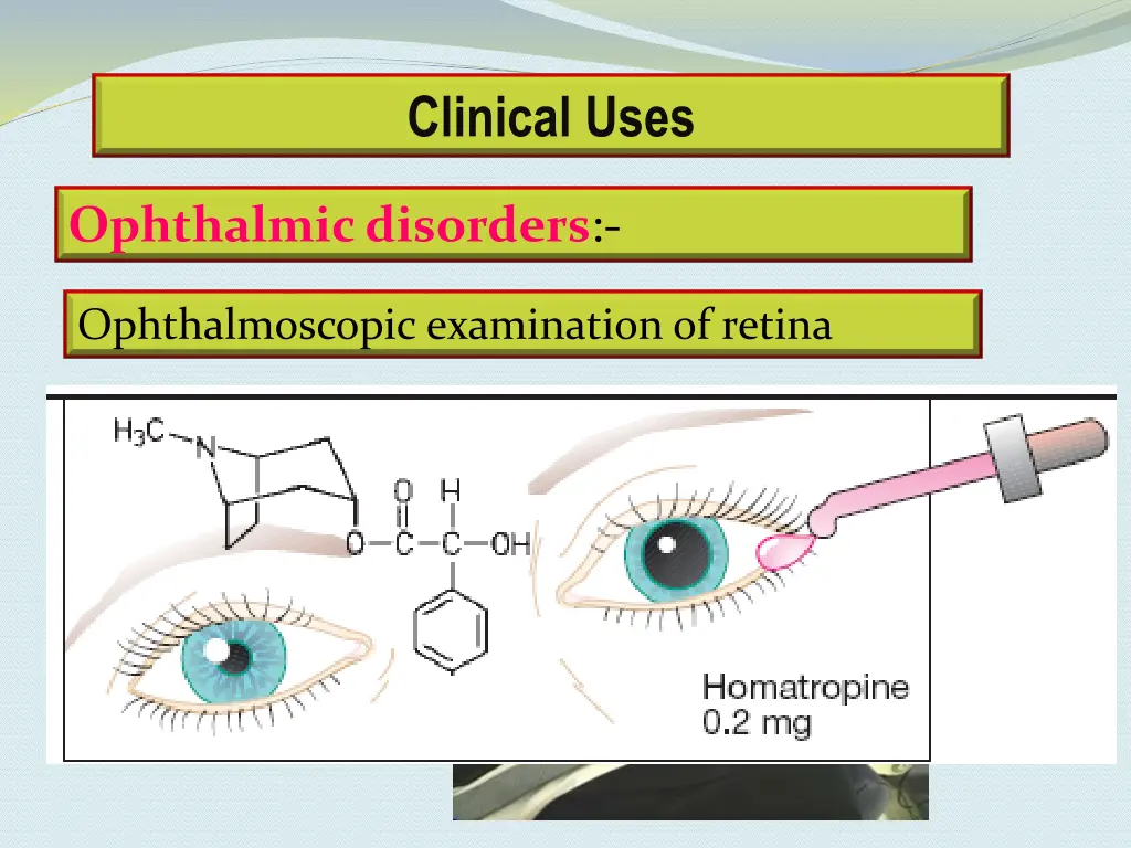 clinical uses 1