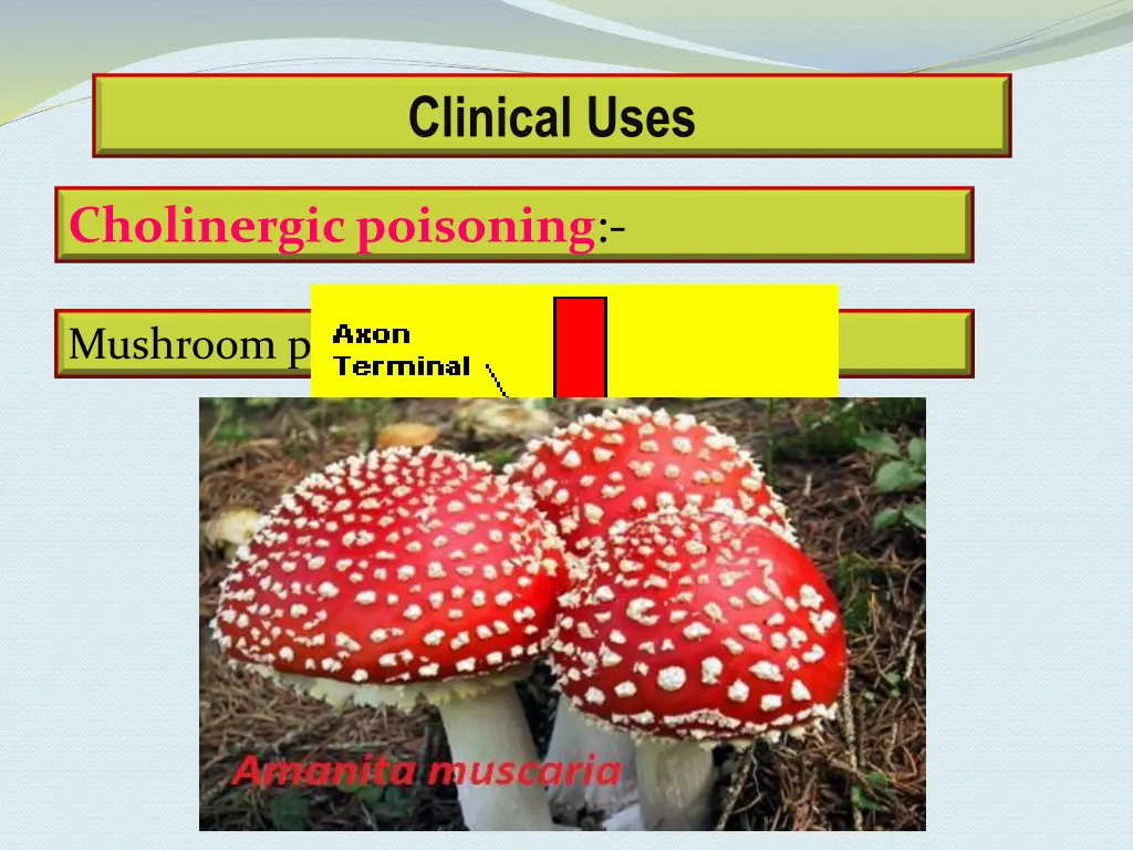 clinical uses 5