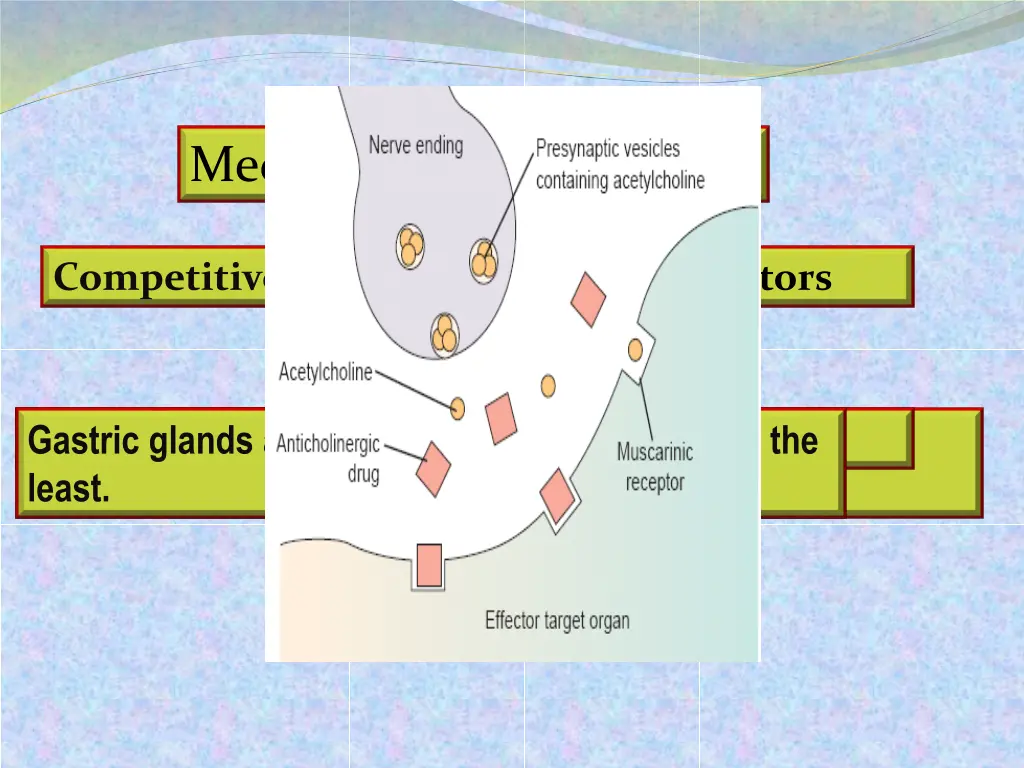 mechanism of action