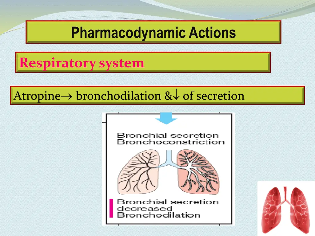 pharmacodynamic actions 3