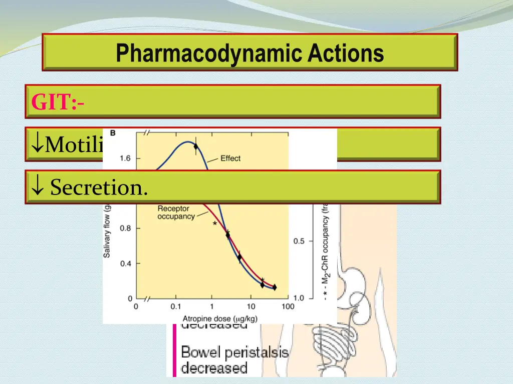 pharmacodynamic actions 4