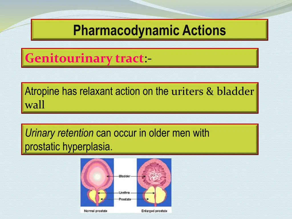 pharmacodynamic actions 5