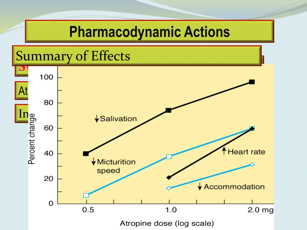pharmacodynamic actions 6