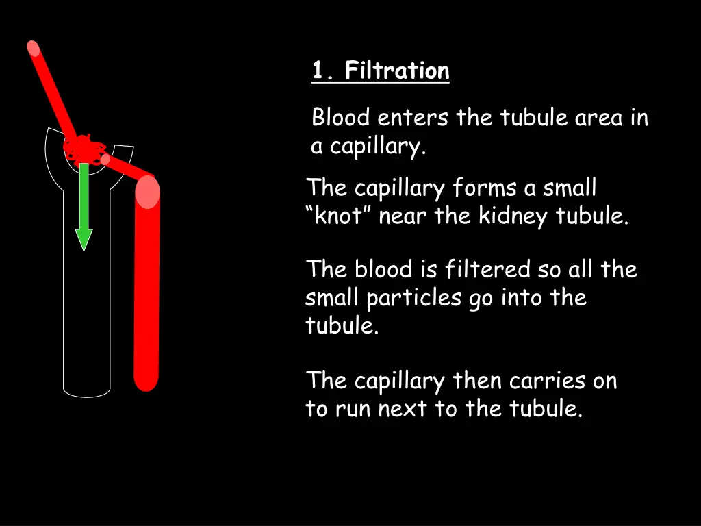 1 filtration