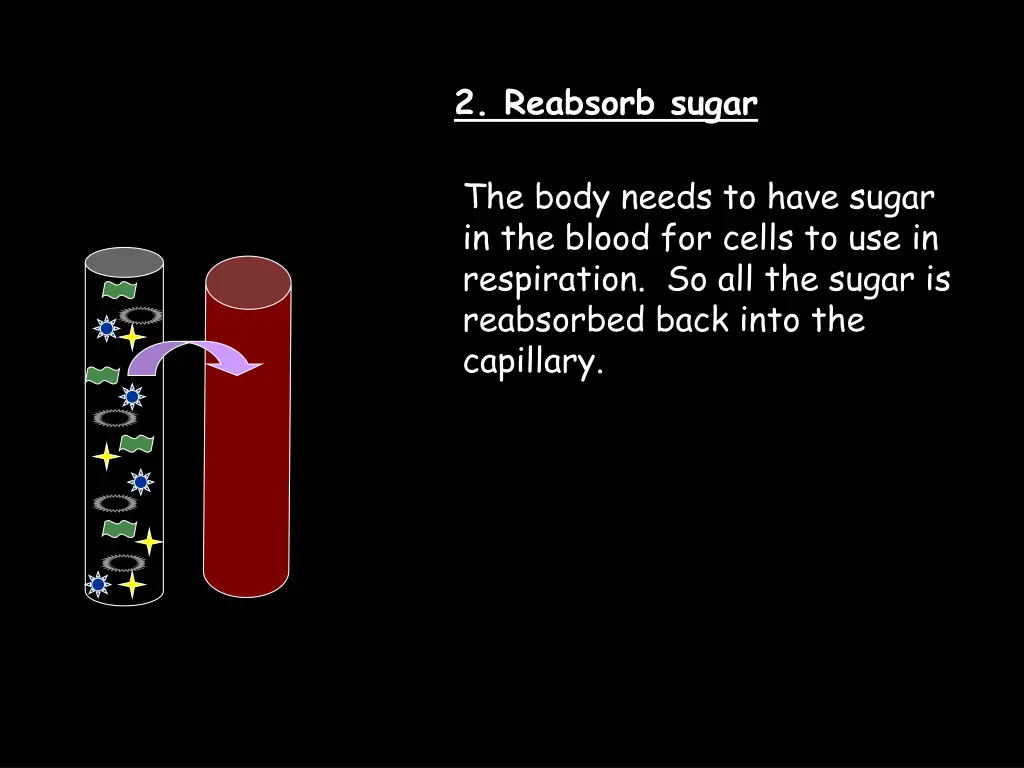 2 reabsorb sugar