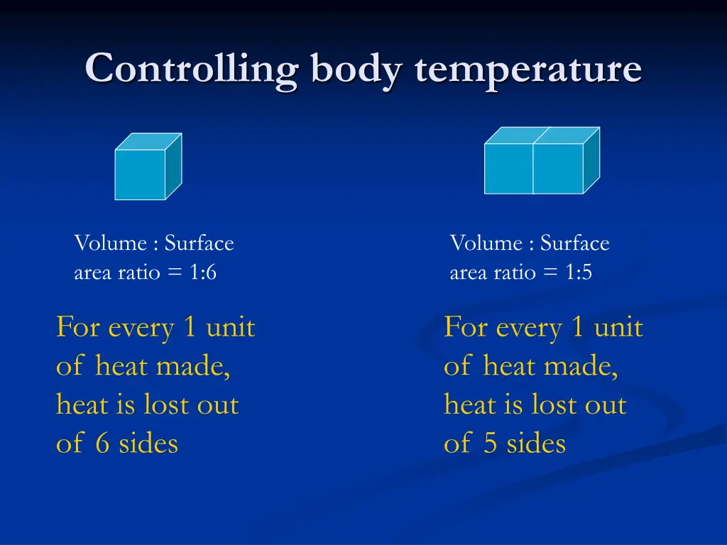 controlling body temperature 2