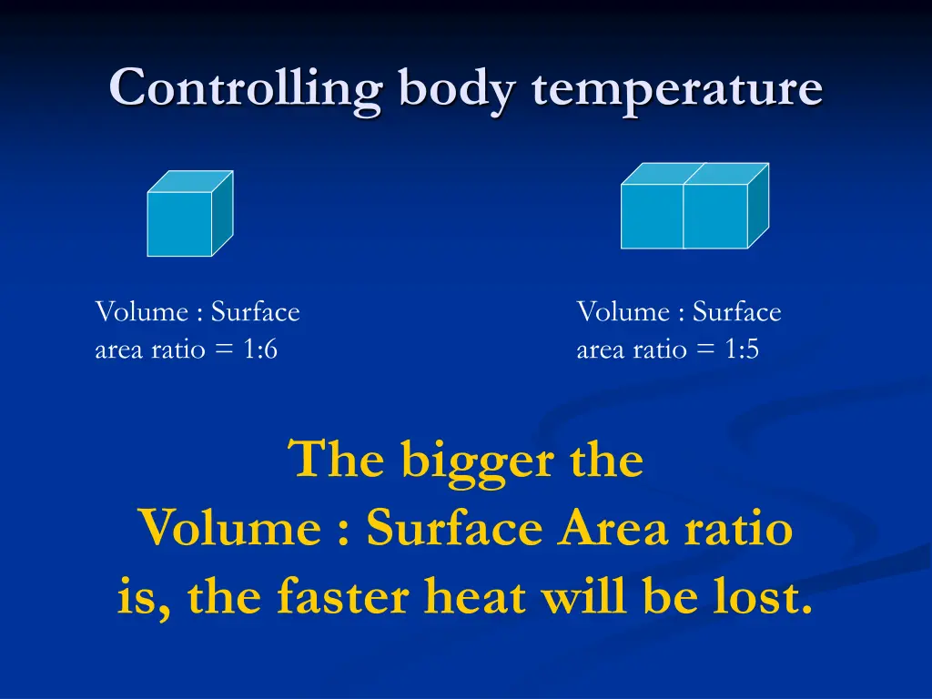 controlling body temperature 3