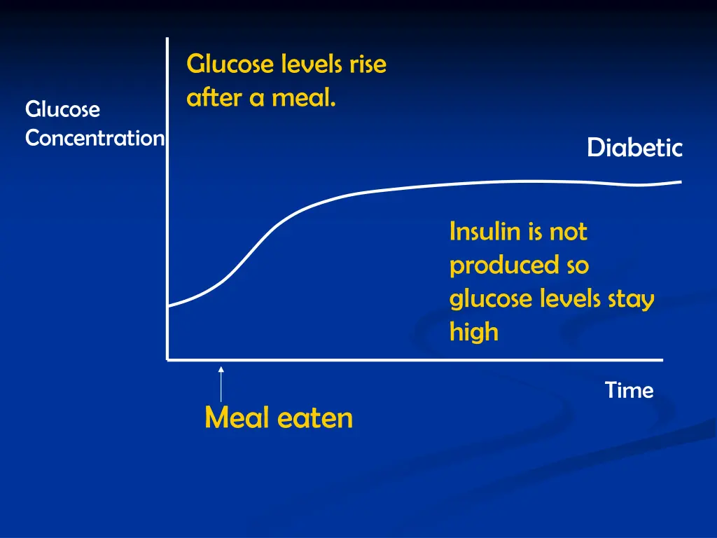 glucose levels rise after a meal 1