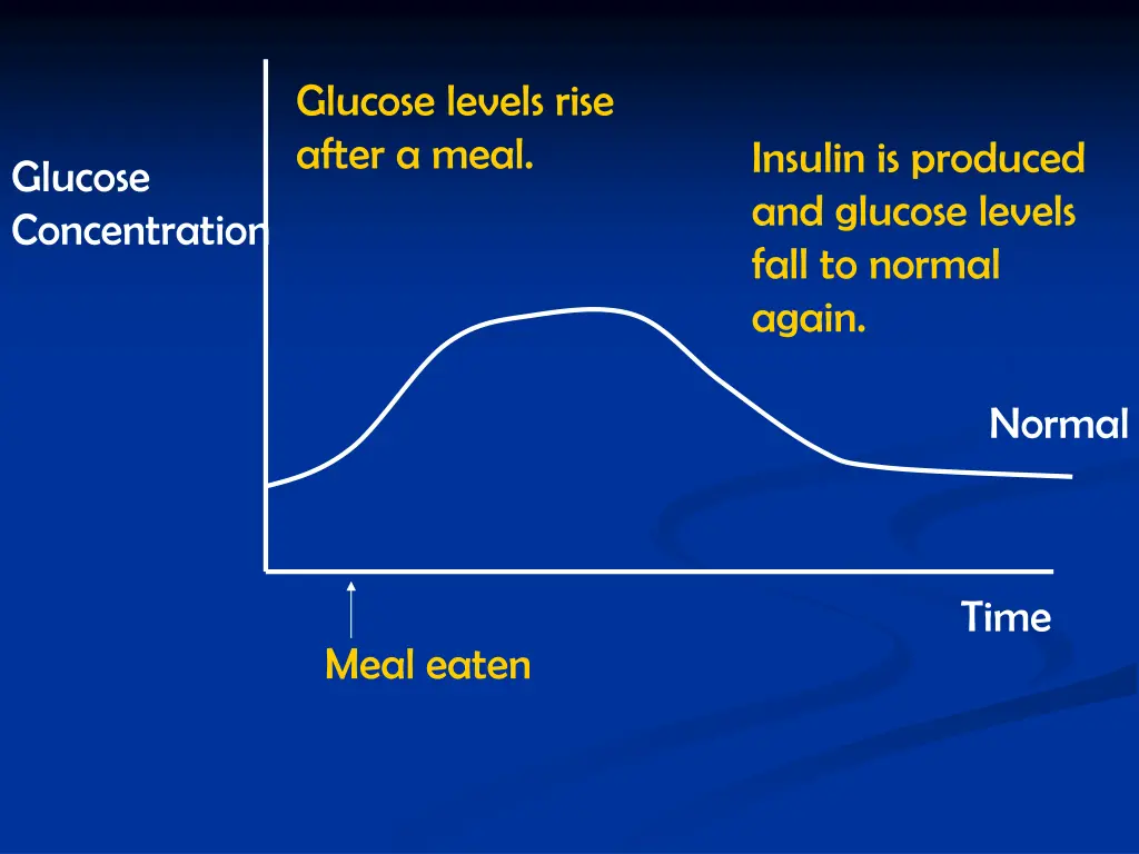 glucose levels rise after a meal