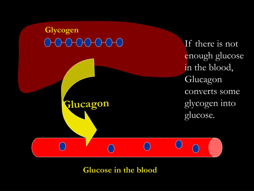 glycogen 1
