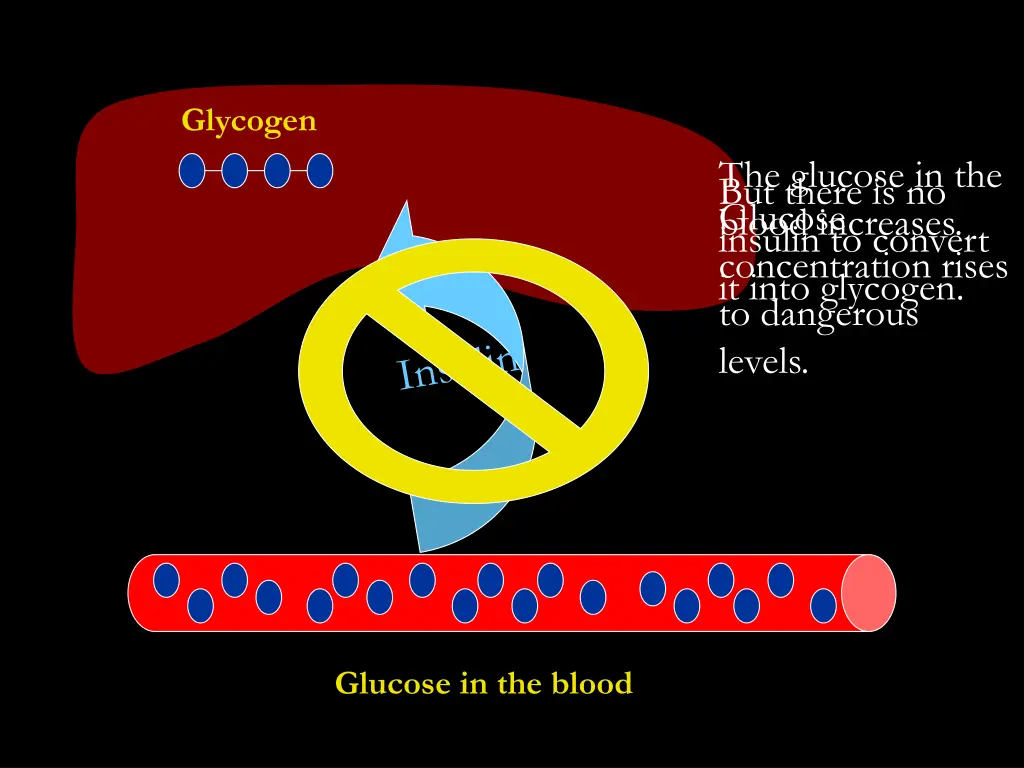glycogen 2