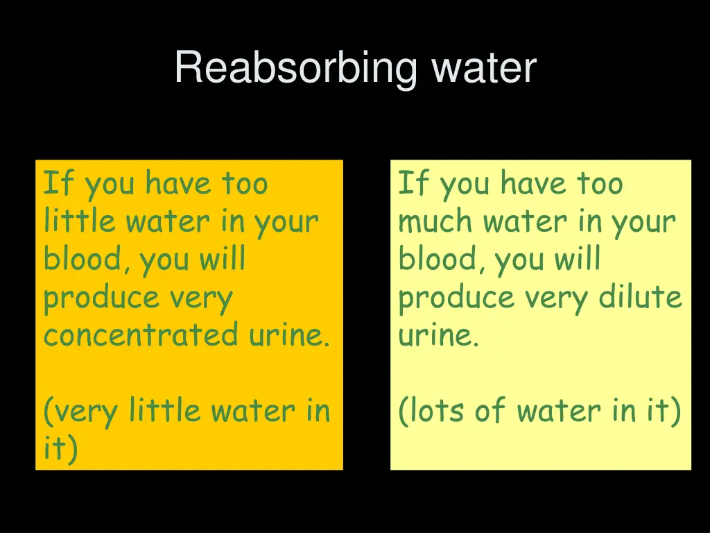 reabsorbing water