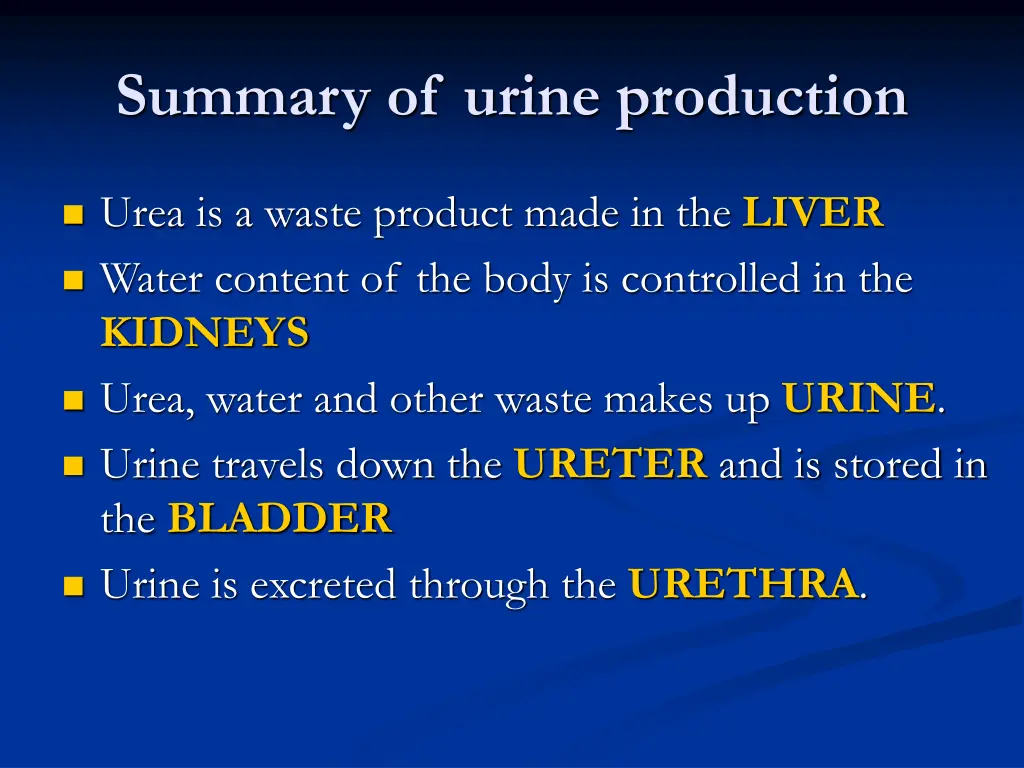 summary of urine production