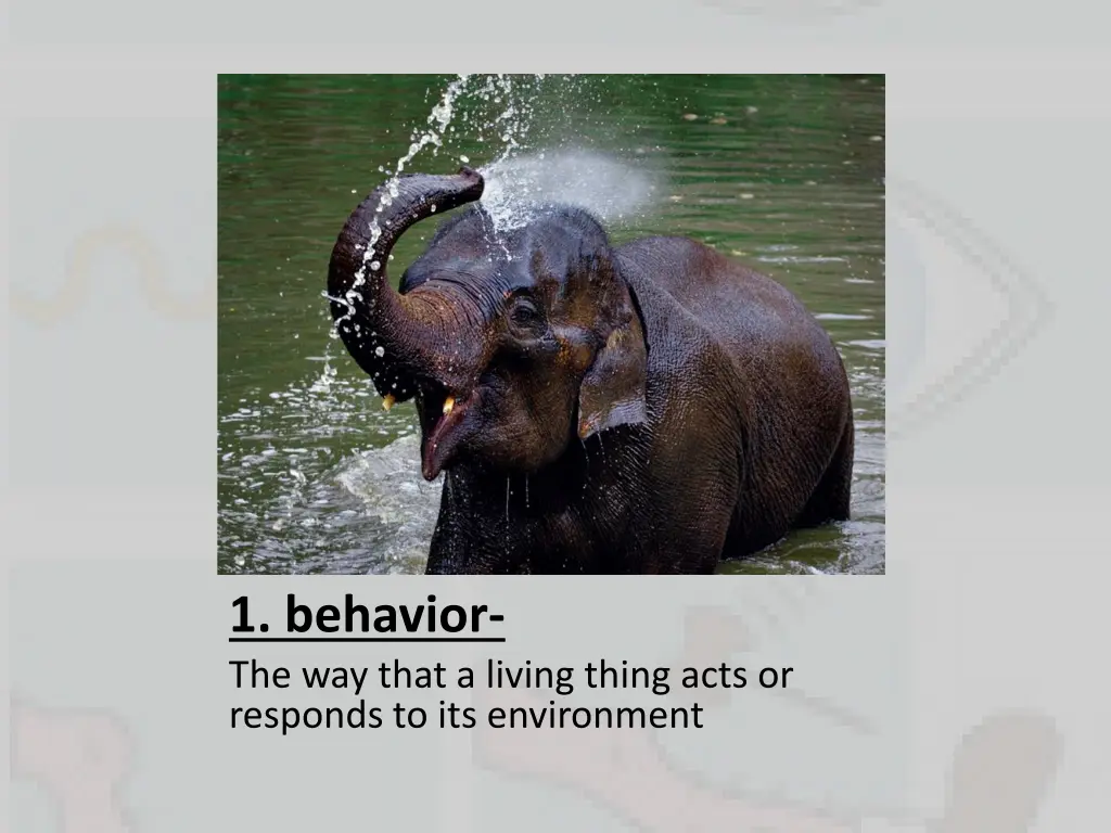 1 behavior the way that a living thing acts