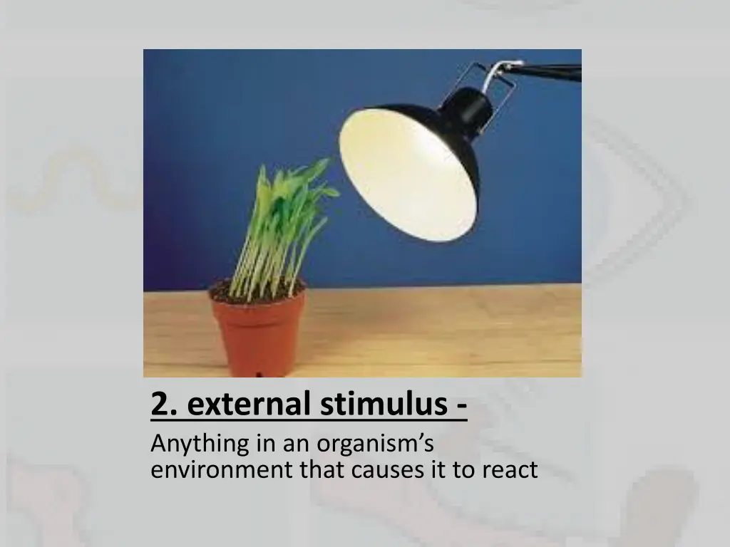 2 external stimulus anything in an organism