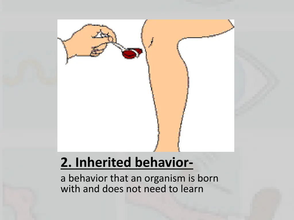 2 inherited behavior a behavior that an organism