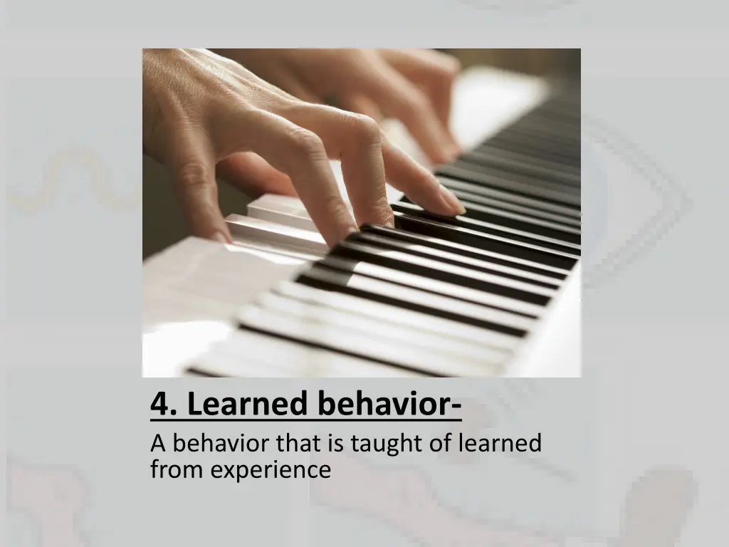 4 learned behavior a behavior that is taught