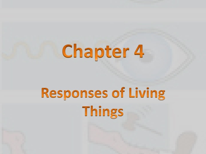 chapter 4