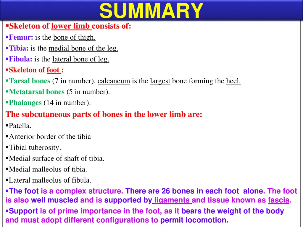 summary