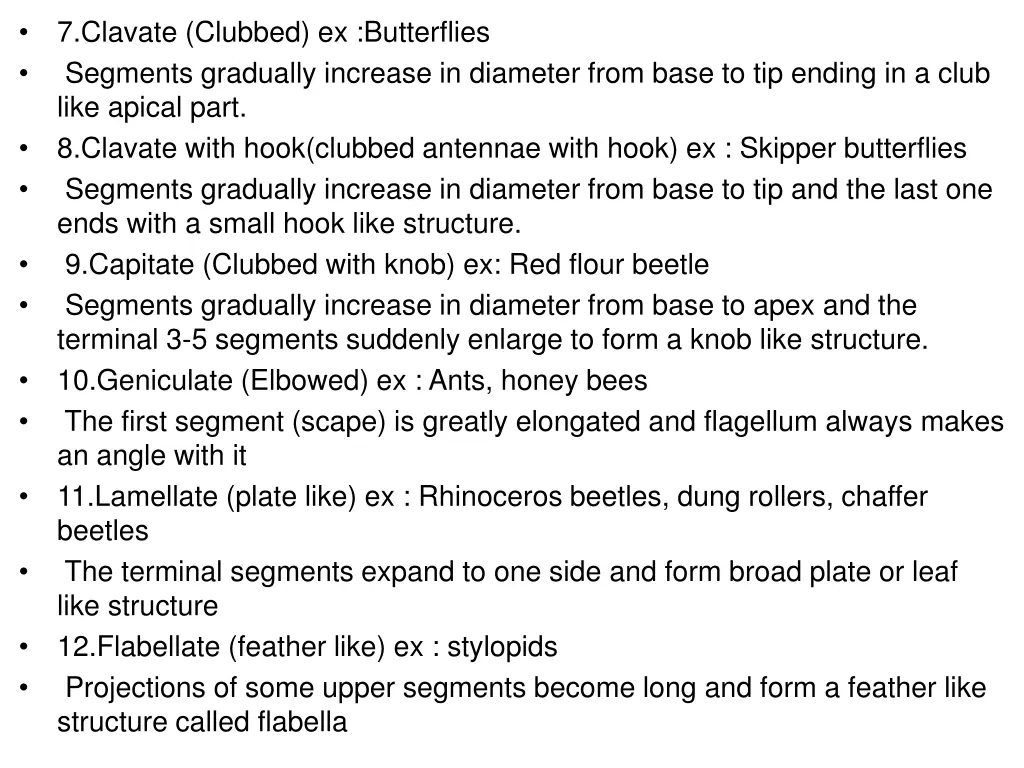 7 clavate clubbed ex butterflies segments