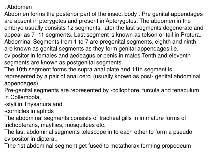 abdomen abdomen forms the posterior part