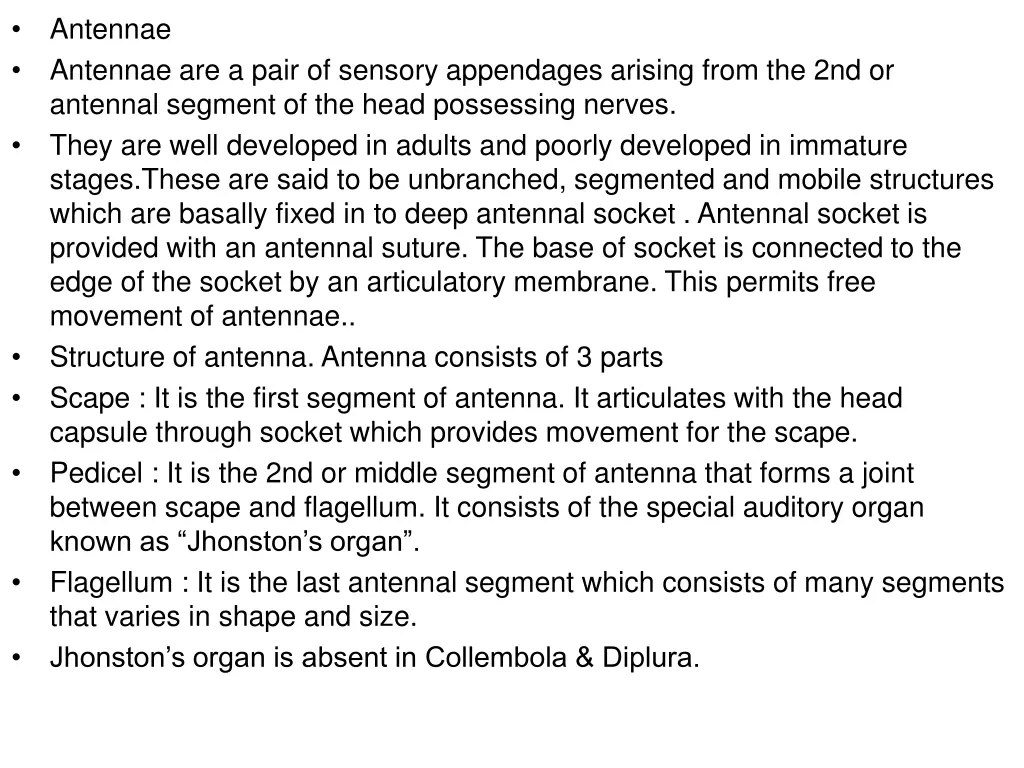 antennae antennae are a pair of sensory
