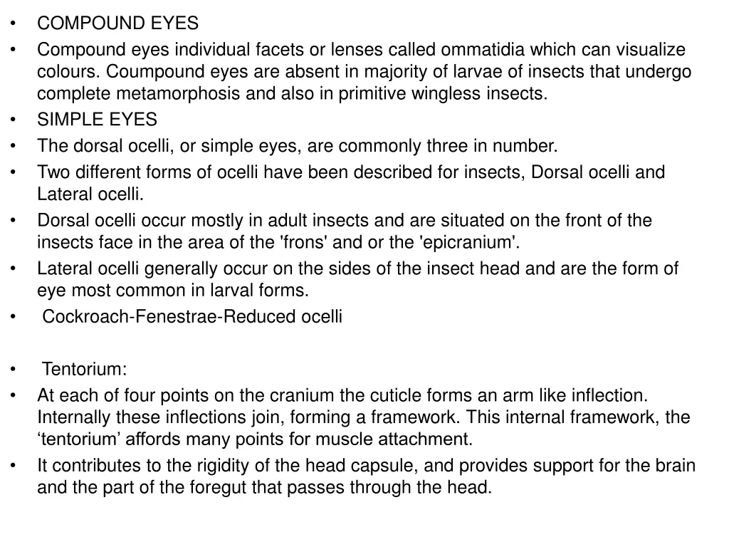 compound eyes compound eyes individual facets