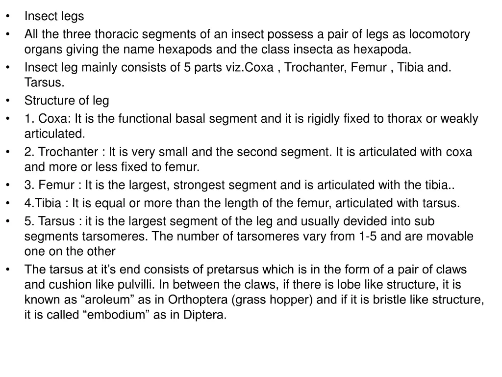 insect legs all the three thoracic segments