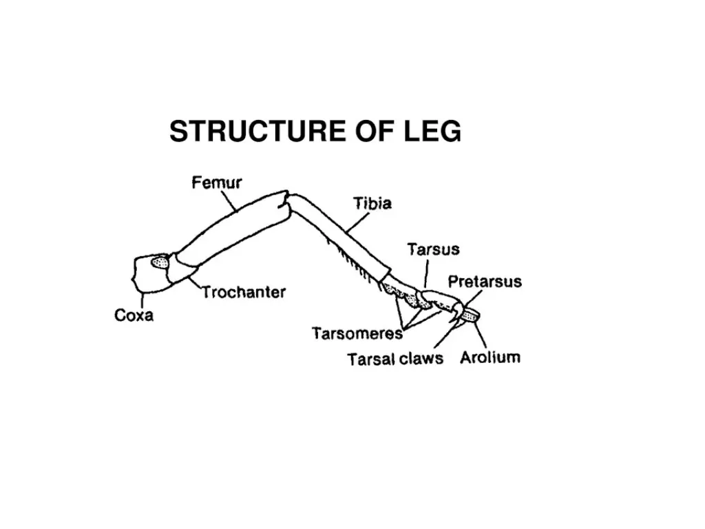 slide10