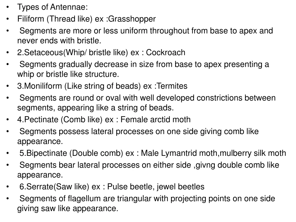 types of antennae filiform thread like