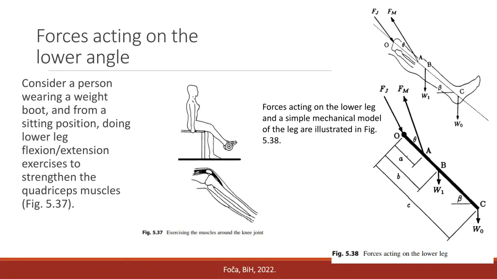 forces acting on the lower angle