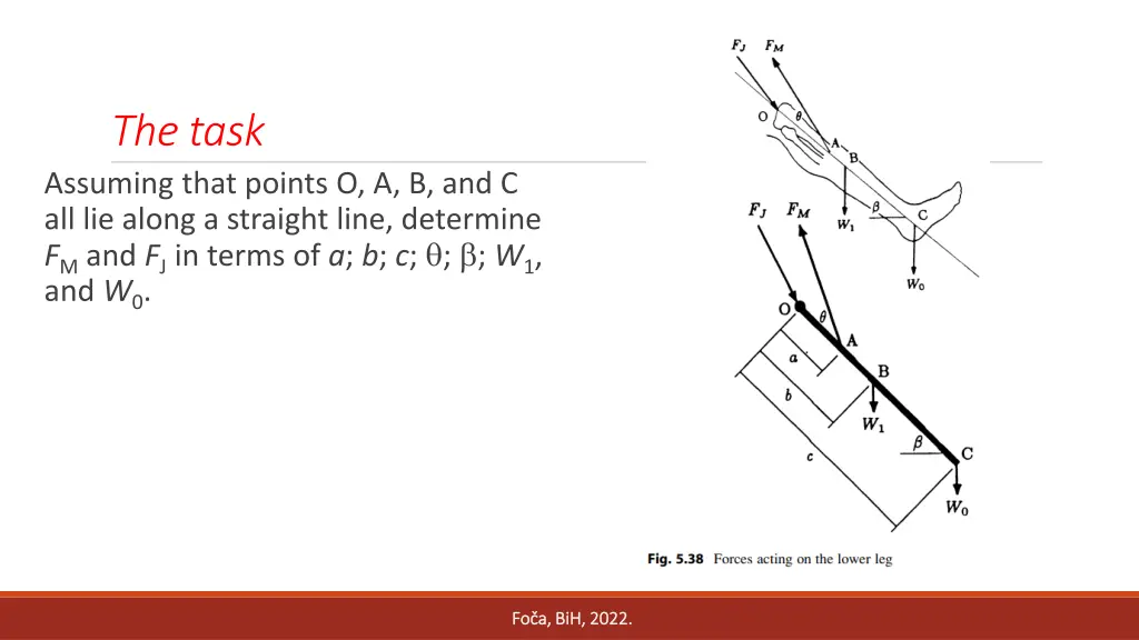 the task assuming that points