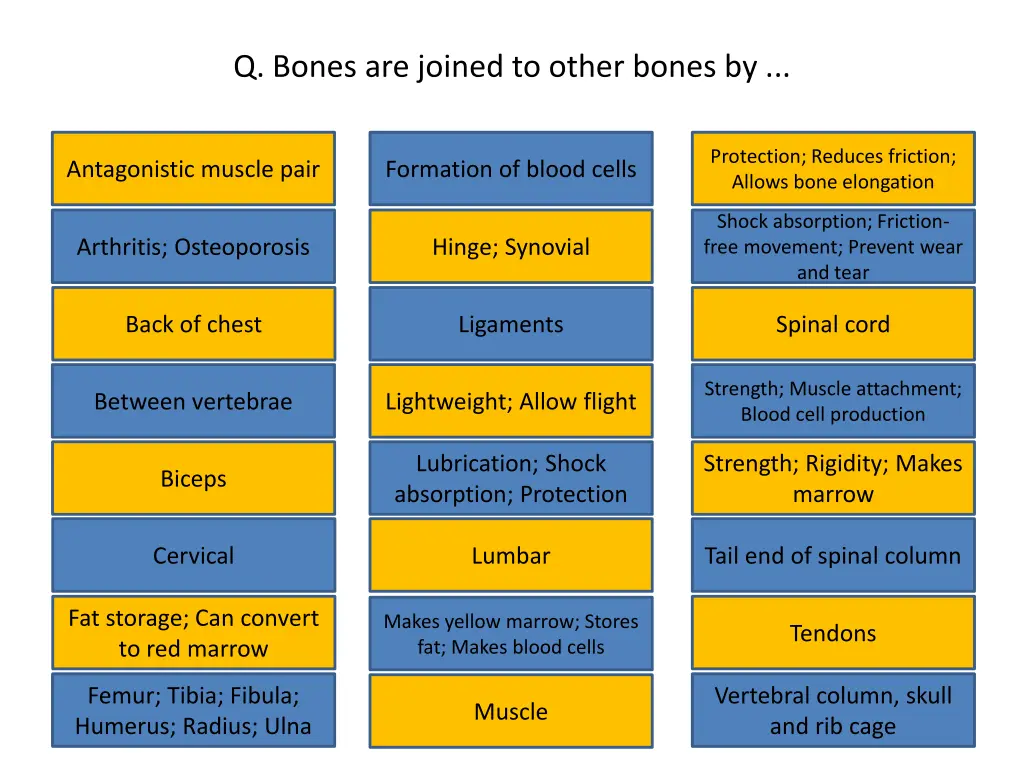 q bones are joined to other bones by