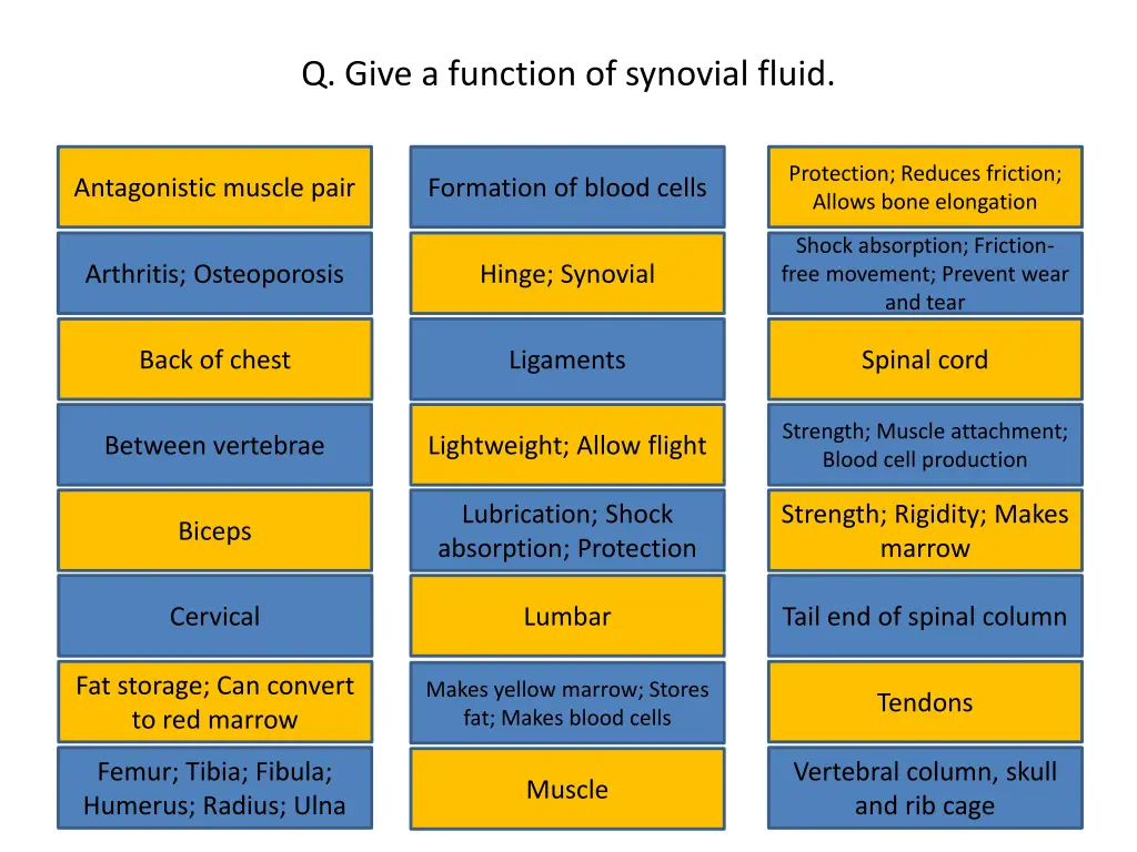 q give a function of synovial fluid