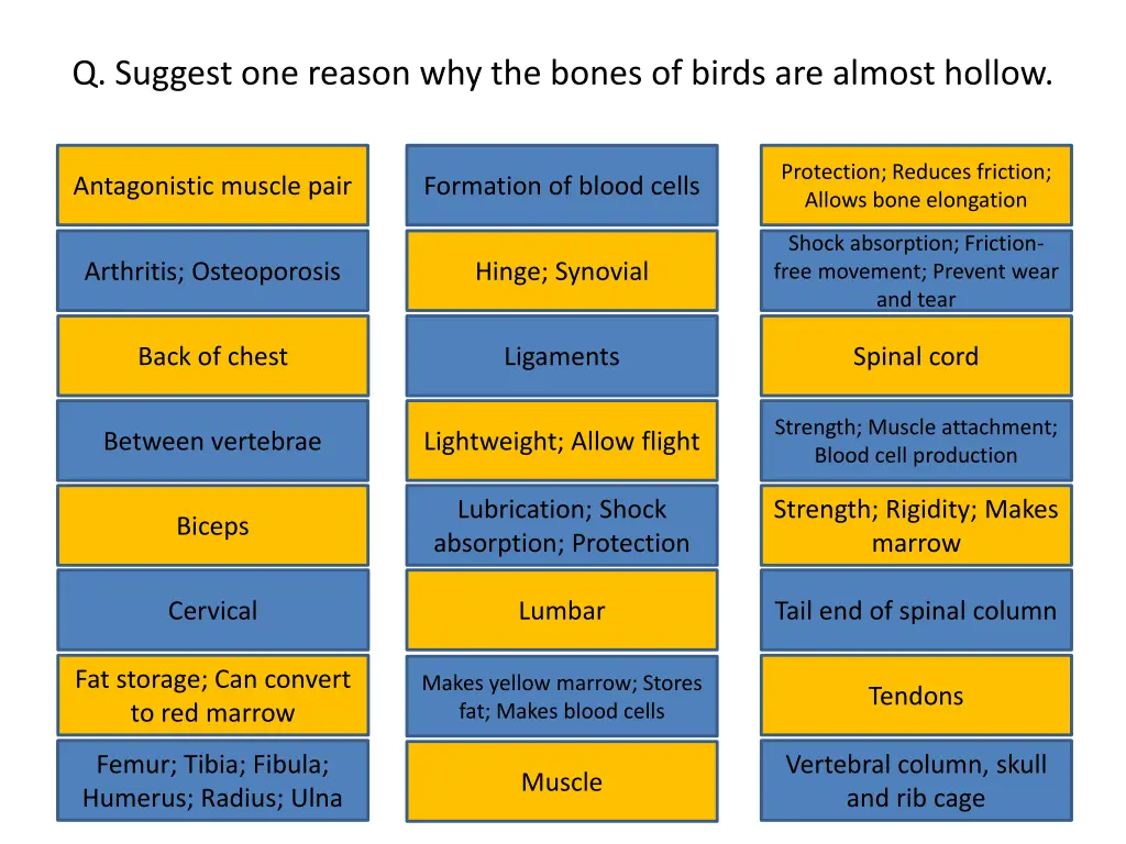 q suggest one reason why the bones of birds