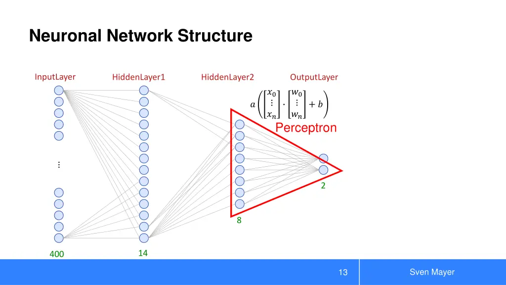 neuronal network structure 2