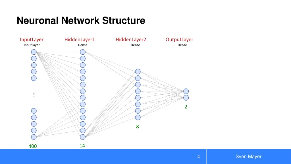 neuronal network structure