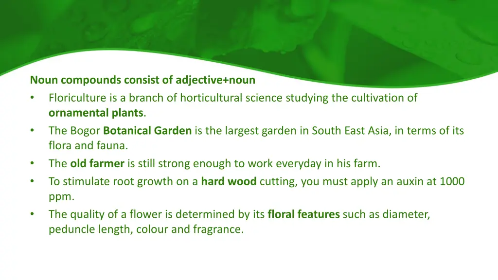 noun compounds consist of adjective noun