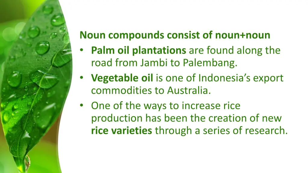 noun compounds consist of noun noun palm