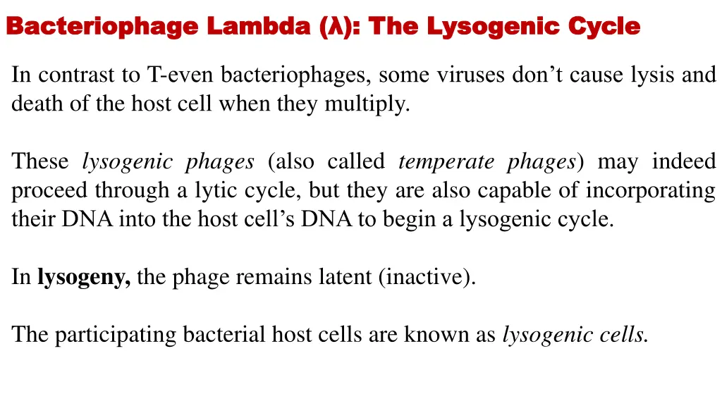 bacteriophage lambda the lysogenic cycle