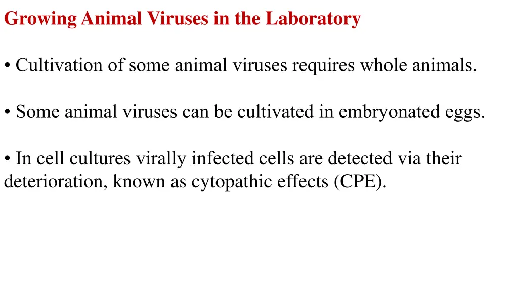 growing animal viruses in the laboratory