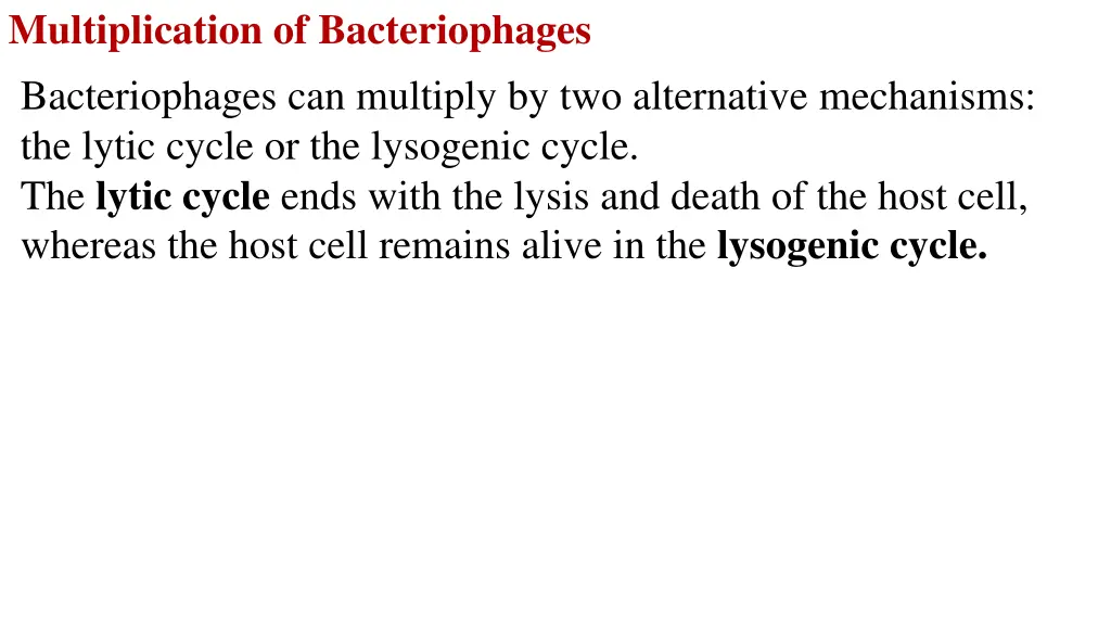 multiplication of bacteriophages bacteriophages