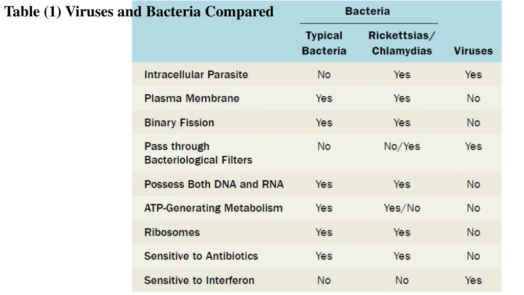 table 1 viruses and bacteria compared