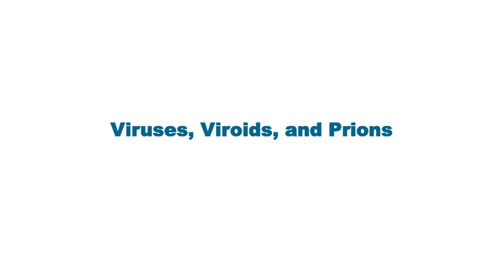 viruses viruses viroids
