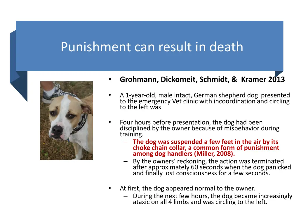 punishment can result in death