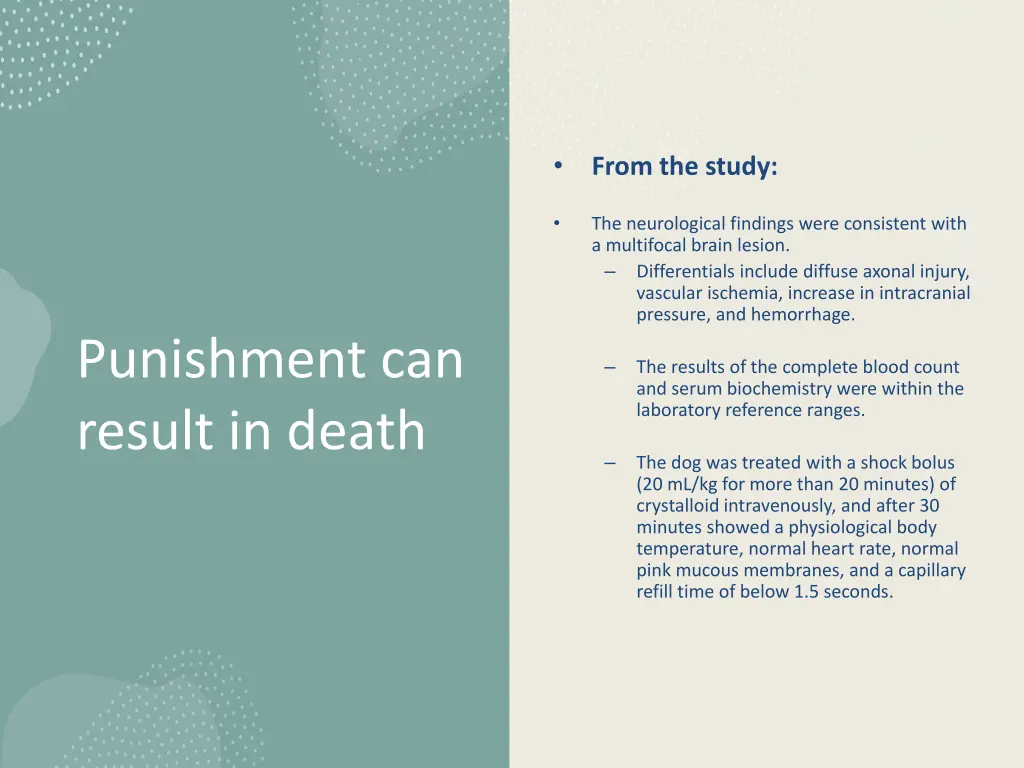 slide24