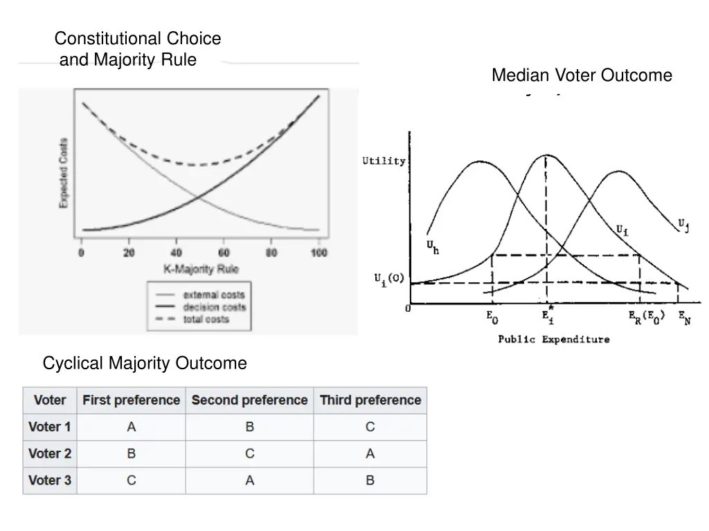 constitutional choice and majority rule