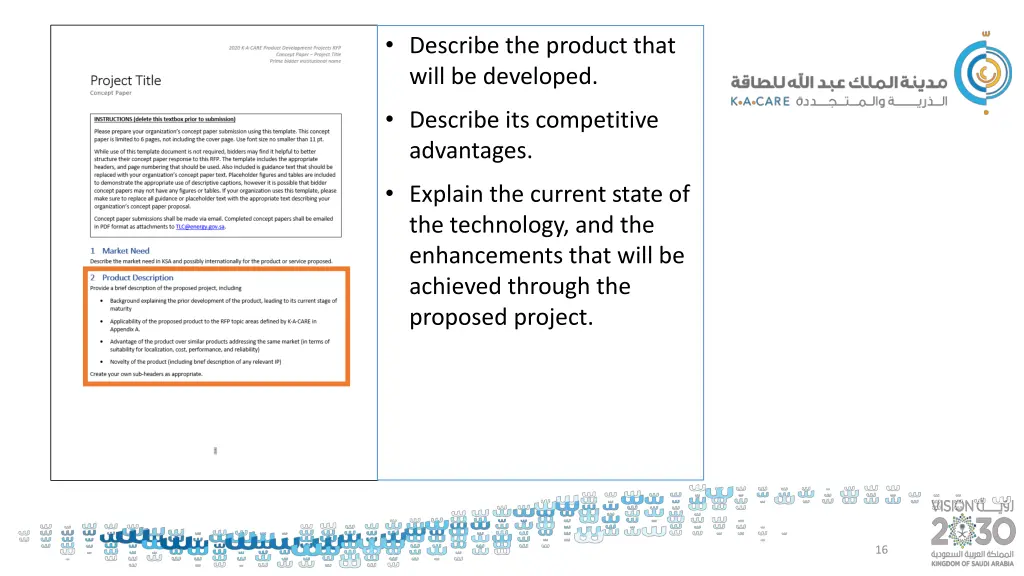 describe the product that will be developed